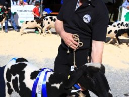 2019_ausstellung polling_438